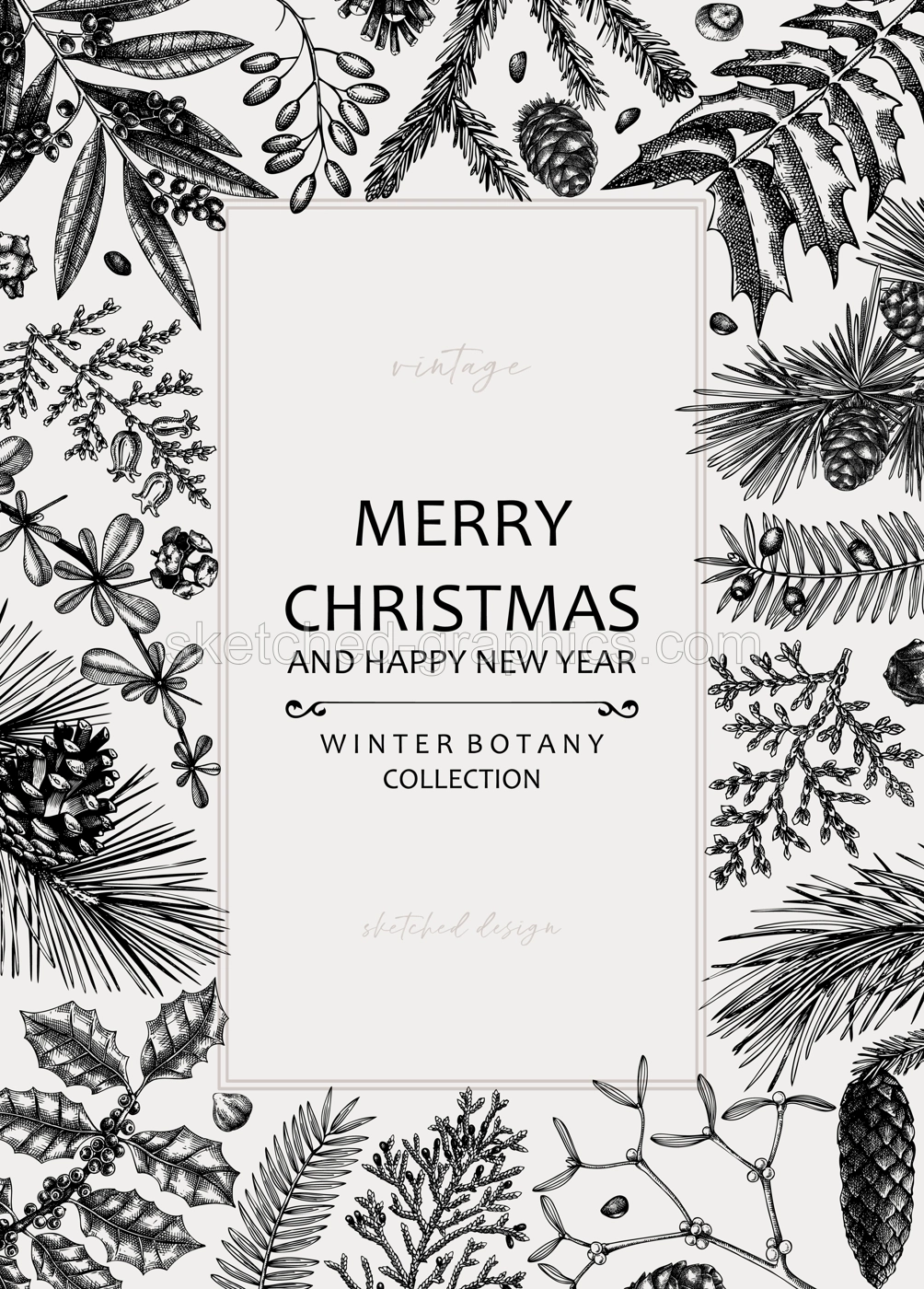Merry Christmas card. Square frame with evergreen plants, conifers, and nuts drawing. Winter design with hand-drawn botanical illustrations. Christmas background, New Year invitation template Illustration